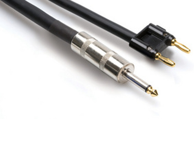 10ft 1/4" to Banana Speaker Cable