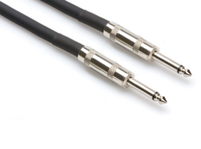 20' 1/4" TS to 1/4" TS Speaker Cable