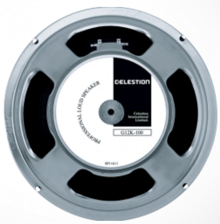 12" Guitar Speaker