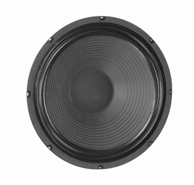 12" Guitar Speaker