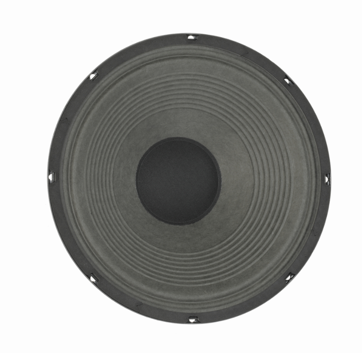 12" Guitar Speaker