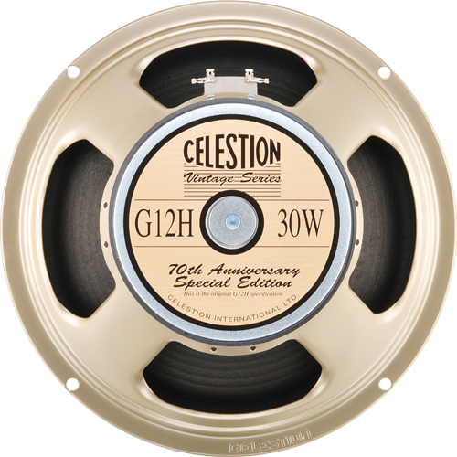 12" Guitar Speaker