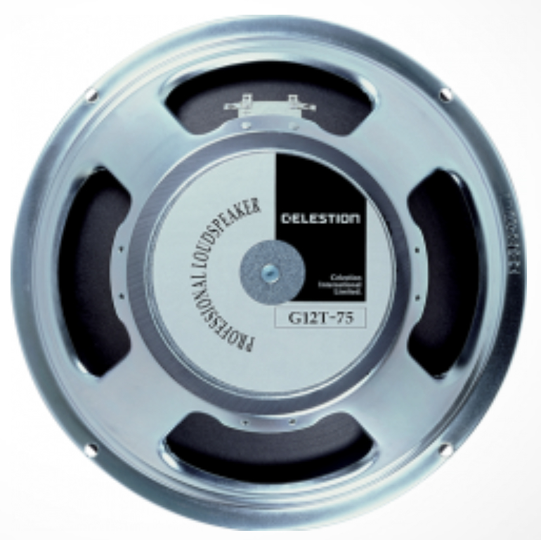 12" Guitar Speaker