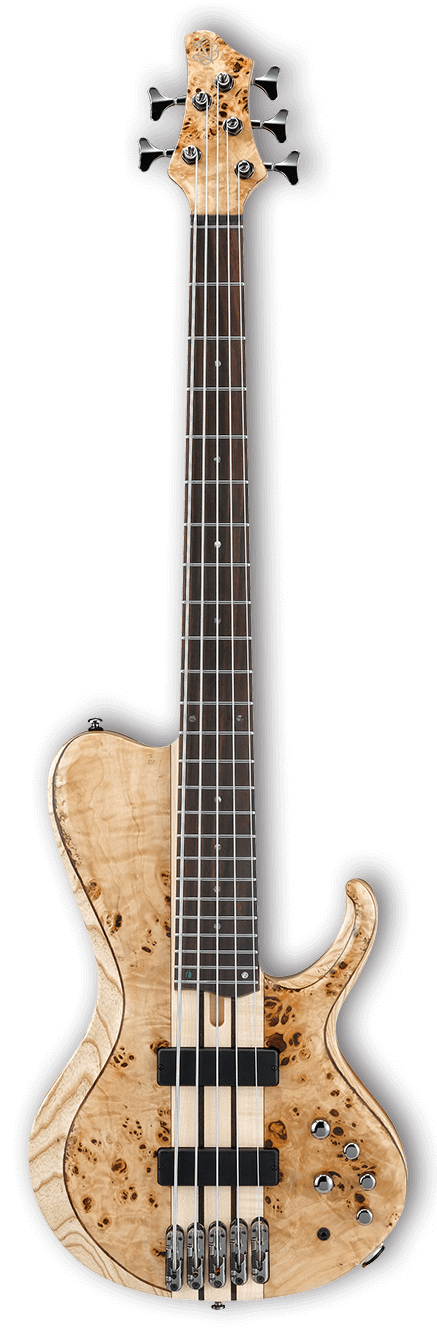 Bass Workshop 5-String Electric Bass - Natural Low Gloss