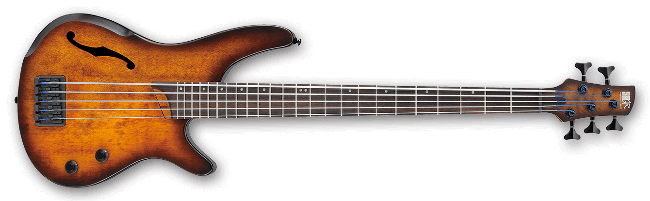 SR Bass Workshop 5 String Electric Bass - Dragon Eye Burst Flat