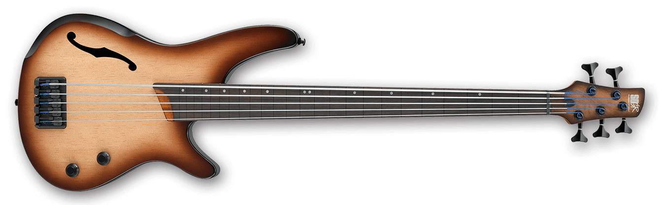 SR Bass Workshop 5 String Fretless Electric Bass - Natural Brown Burst Flat