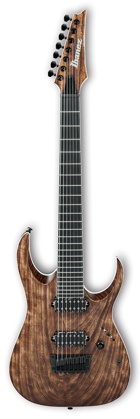 RGA Iron Label 6-String Electric Guitar - Antique Brown Stained