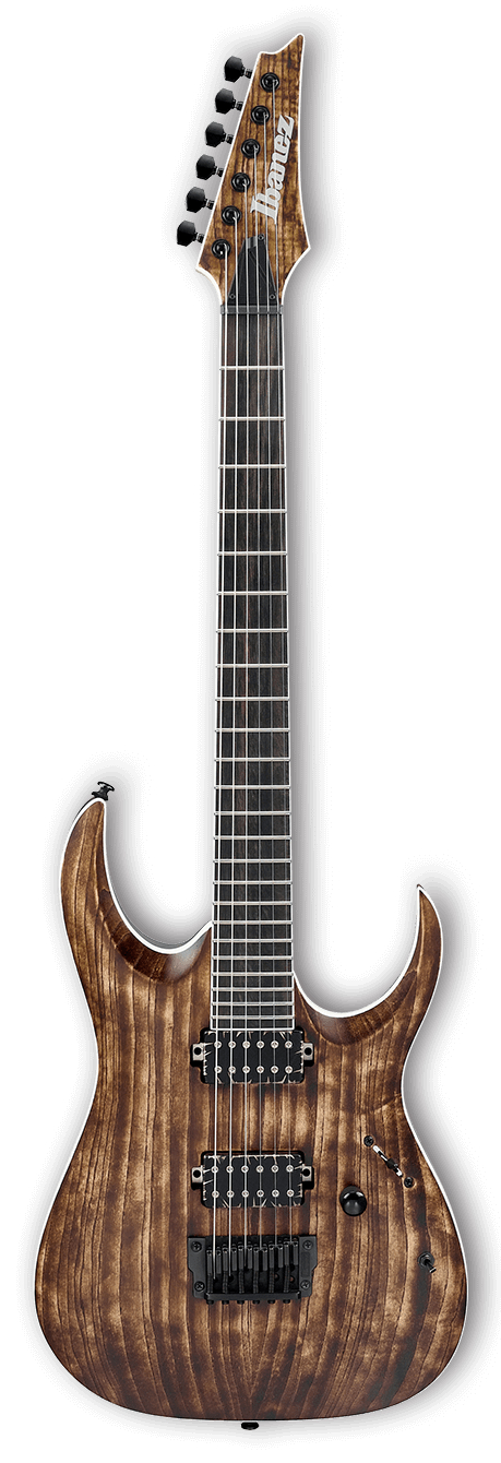 RGA Iron Label 6-String Electric Guitar - Antique Brown Stained