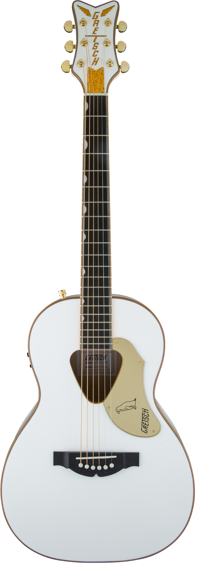 Parlor Acoustic/Electric, Fishman Pickup System