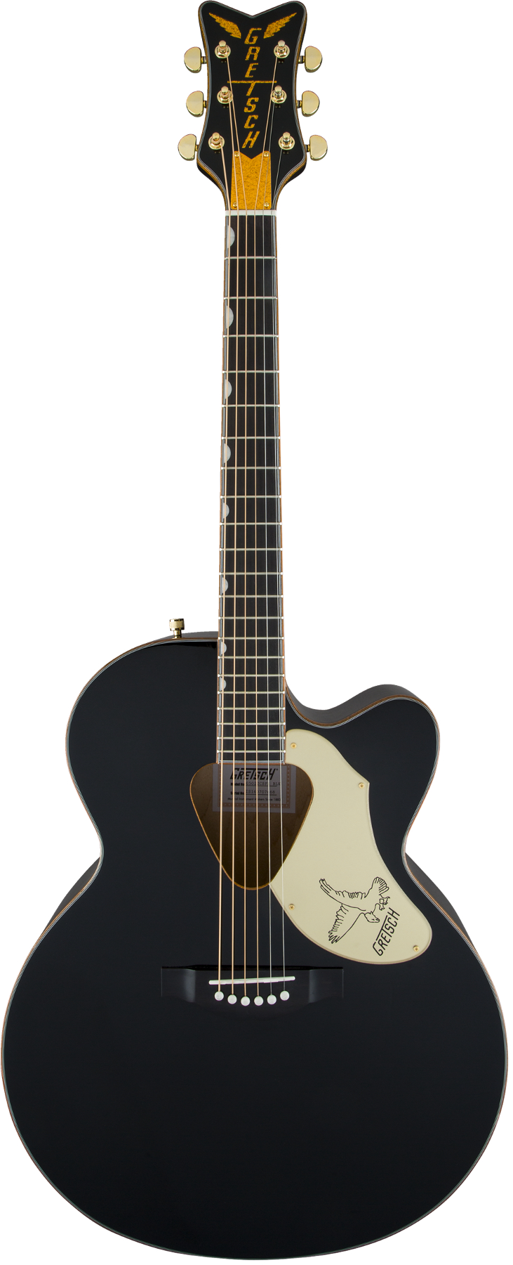 Cutaway Acoustic/Electric, Fishman Pickup System