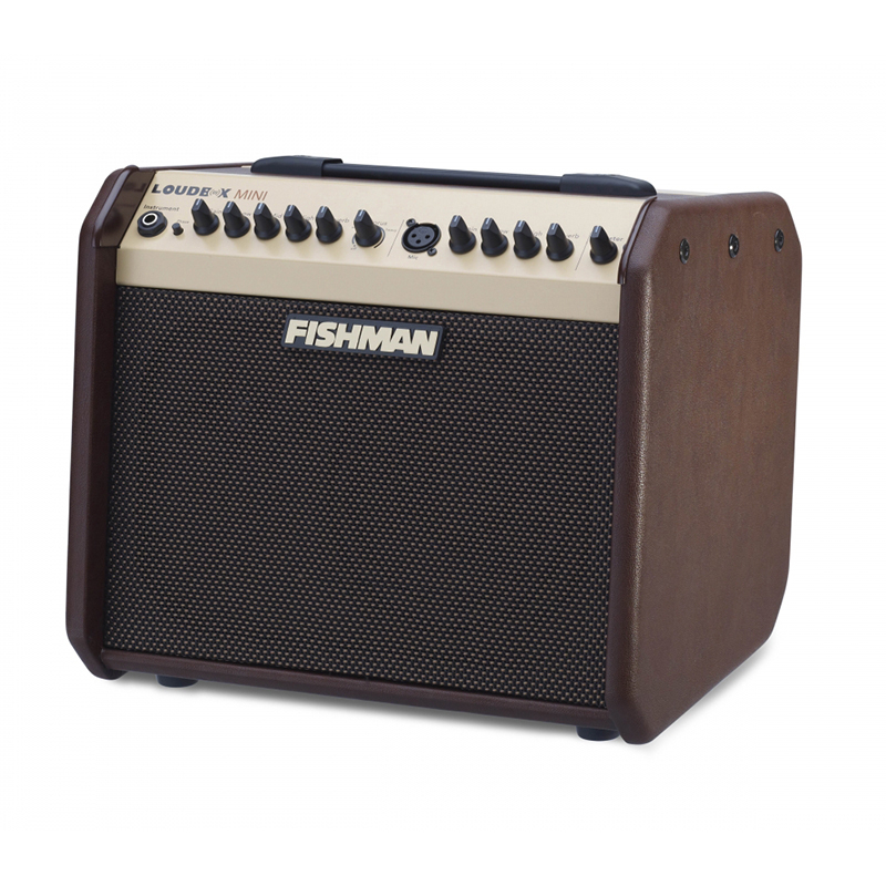 2-Ch 60W Acoustic Guitar Amplifier