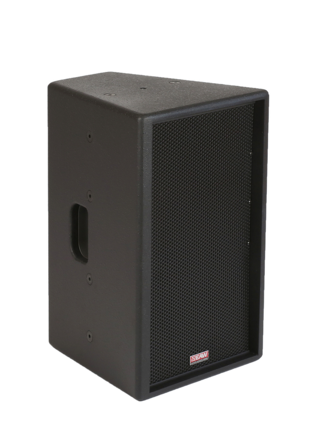 10" 2-Way Passive Speaker in Black