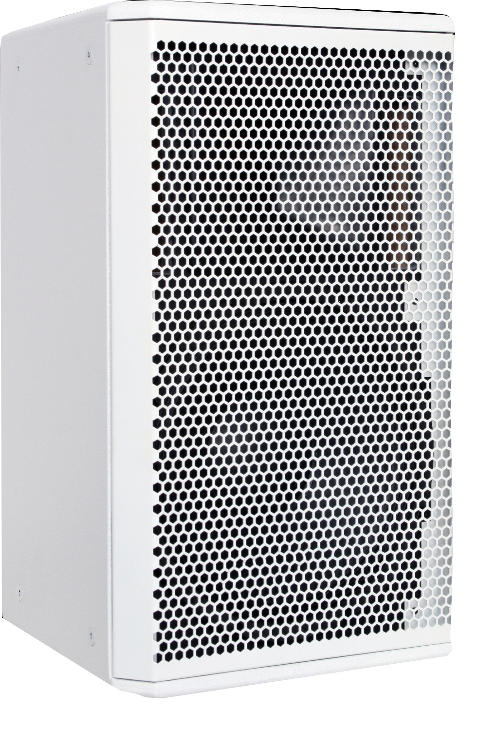 Core 12 Two-Way 12" Speaker in White