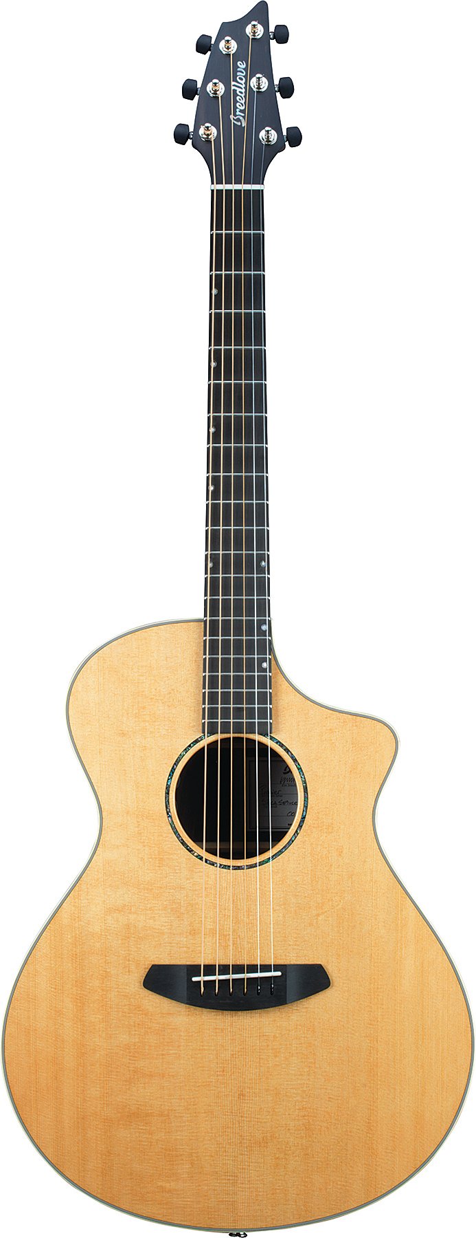 Acoustic-Electric Guitar