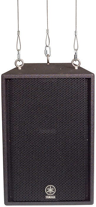 12" Club V Series 2-Way Flyable Speaker