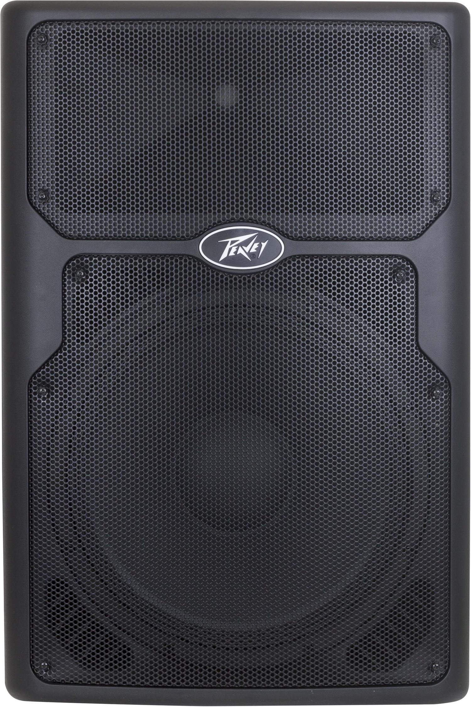 Monitor Floor 2 Way 15" Powered with DSP