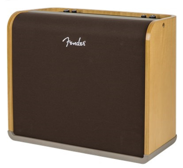 12" 2-Channel Acoustic Guitar Amplifier