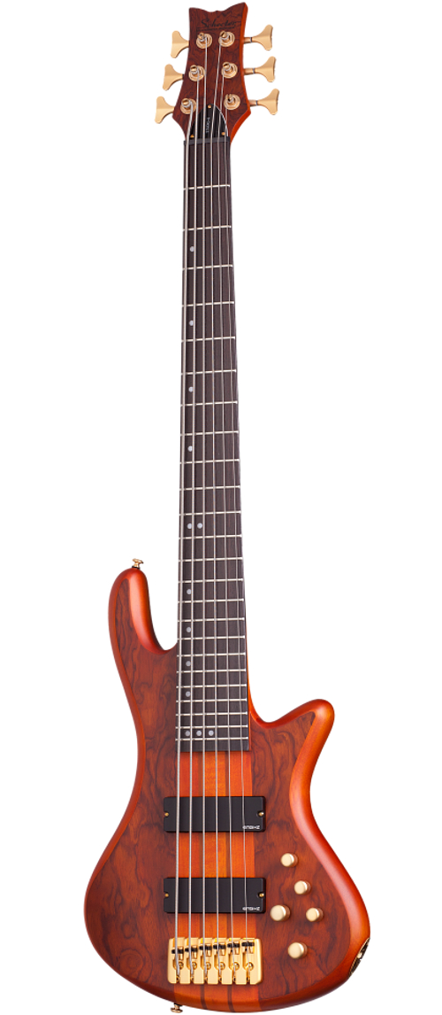 6-String Bass Guitar