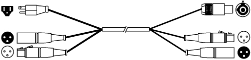 25 ft Siamese Twins Audio/Power Cable