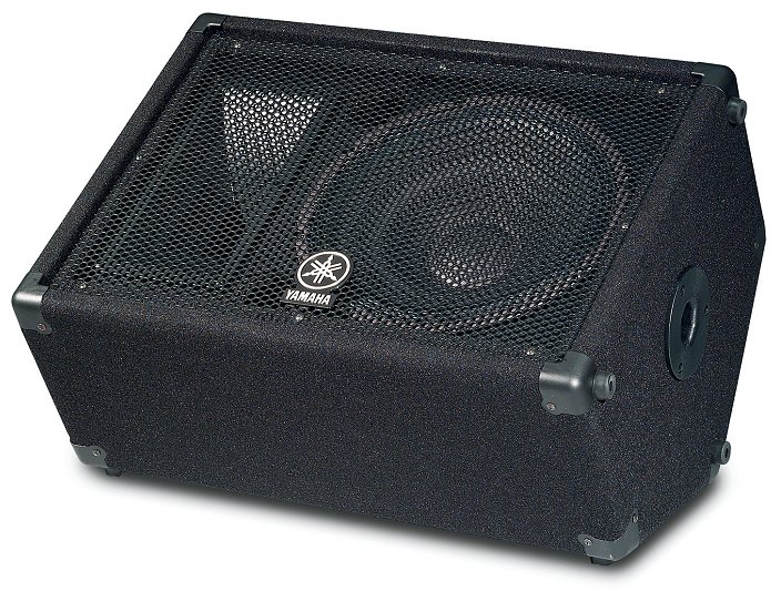 12" Loudspeaker Monitor System