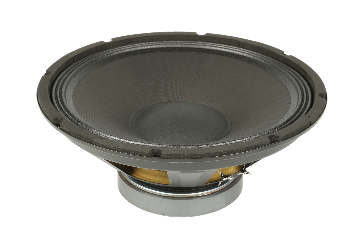 12” Woofer for DM-112