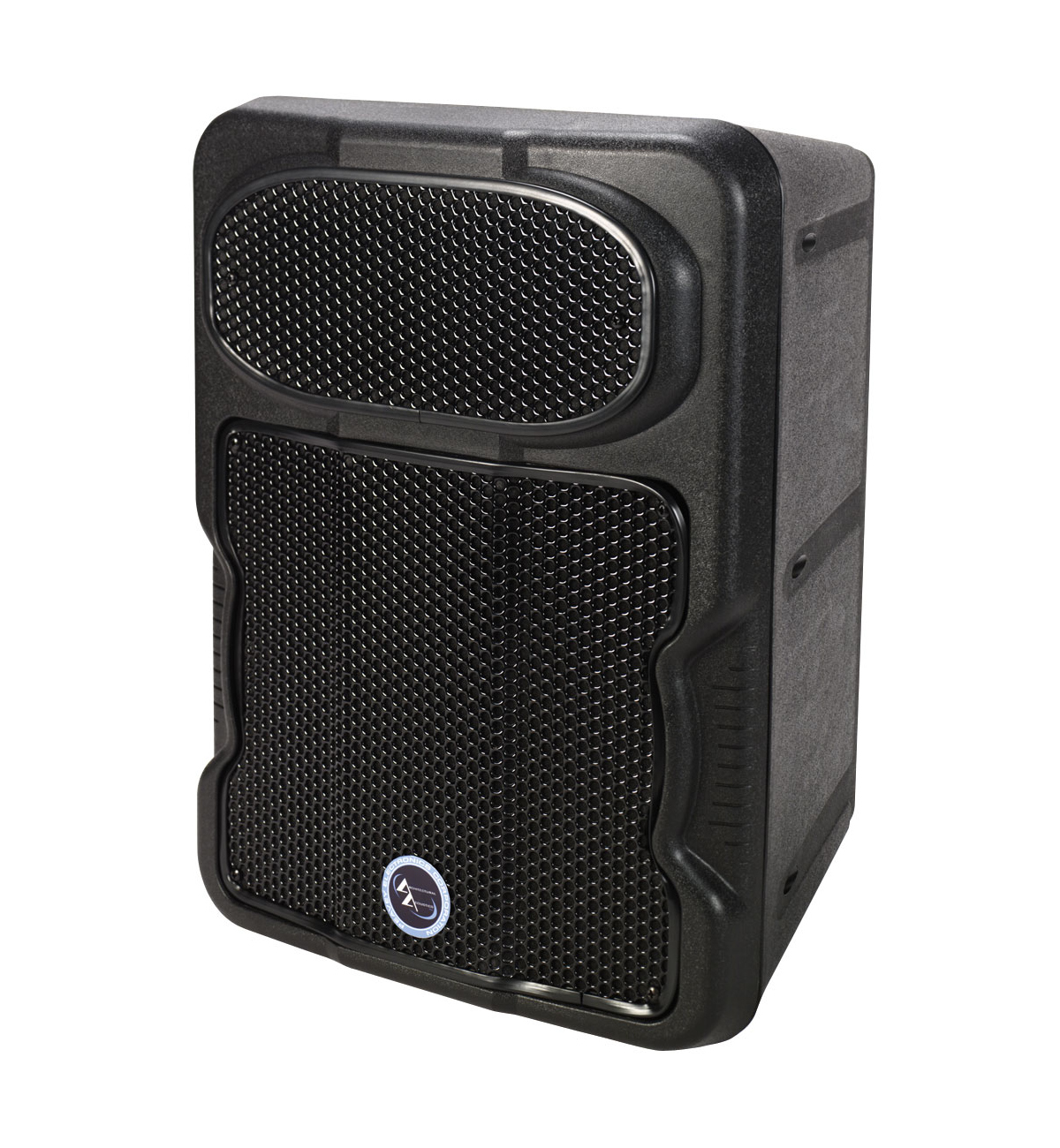 10" 2-Way Speaker, Black