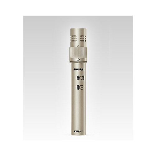 Dual Pattern Condenser Microphone