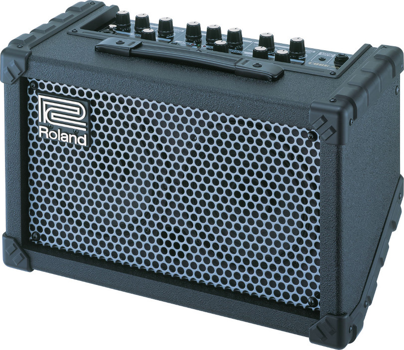 Battery-Powered Stereo Guitar/Vocal Modeling Amplifier