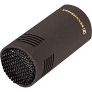 Supercardioid Microphone