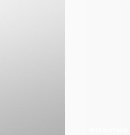 20" Silver/White Reflector