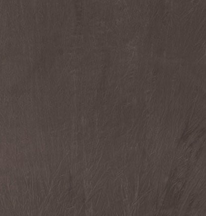 Background 10x12 Night Shadows