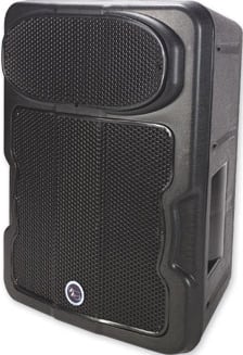 12" 2-Way Speaker System