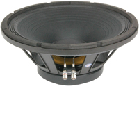 15" Woofer
