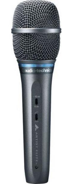 Cardioid Handheld Condenser Microphone
