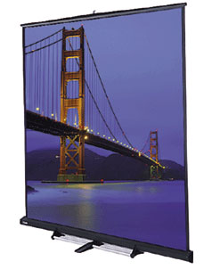 10' x 10' Gray Carpeted Floor Model C™ Matte White Projection Screen