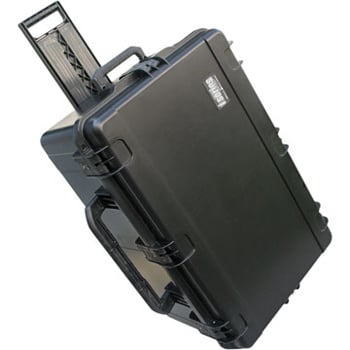 Molded Case, 29" x 18" x 14" with Wheels