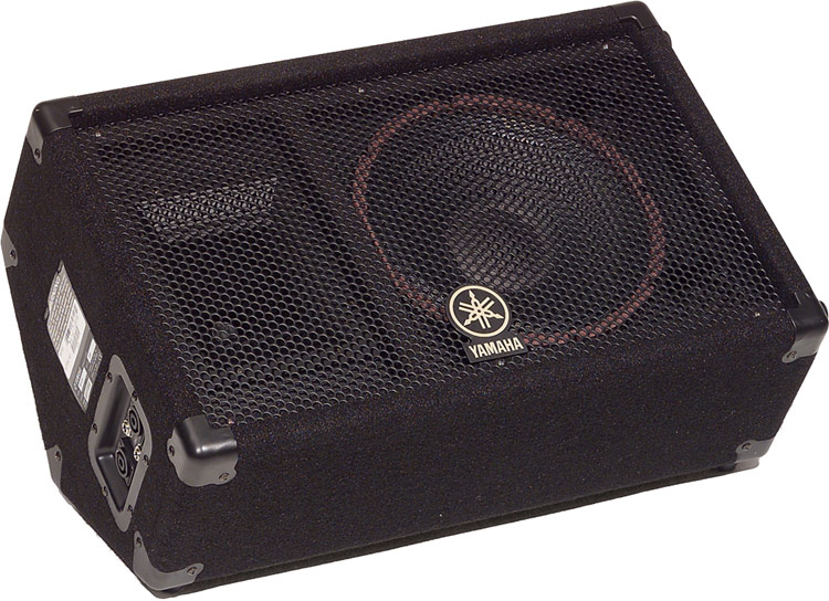Concert Club V Series 10" 2-Way 500W Peak (8 Ohms) Floor Monitor