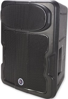 10" 2-Way Speaker (Black)