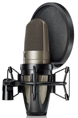 Large Dual-Diaphragm Side-address Condenser Vocal Microphone