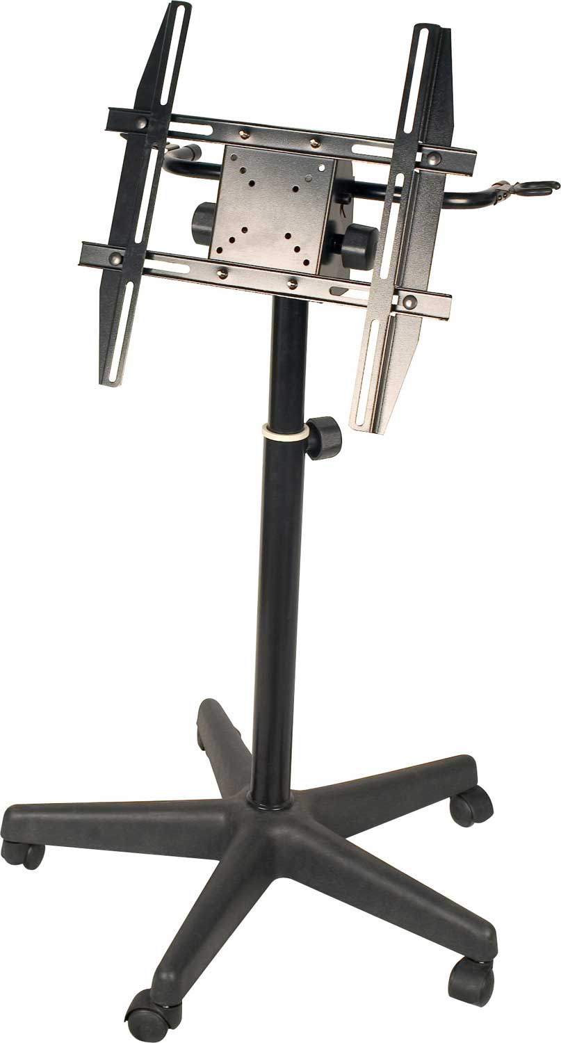 Custom Stand for LCD Monitor & 2 Mics