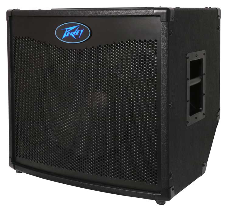 600W 1x15" Bass Combo Amplifier
