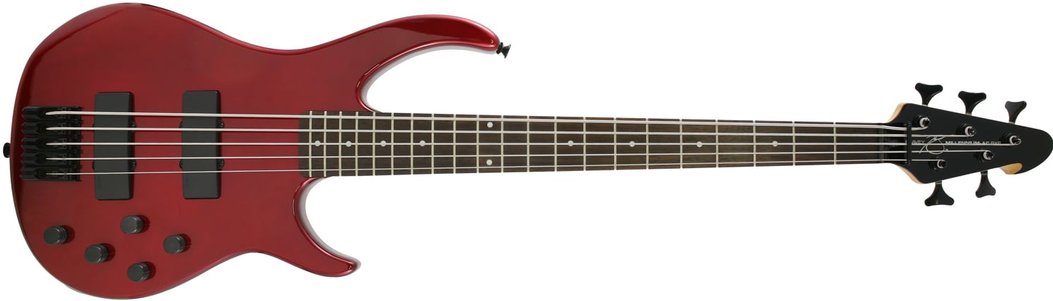 5-String Passive Electric Bass Guitar in Solid Finishes