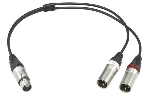 Cable, 5-Pin XLR to dual 3-Pin XLR