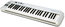 Samson Carbon 49 Carbon 49-Key USB/MIDI Keyboard Controller With Komplete Elements Image 1