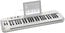 Samson Carbon 49 Carbon 49-Key USB/MIDI Keyboard Controller With Komplete Elements Image 4