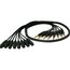 Mogami GOLD8-TRS-XLRF-25 25 Ft. 8-Channel XLR-F-TRS Fan-Out Snake Image 1