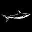 Apollo Design Technology MS-7056 Steel Gobo, Sea Shark Image 1