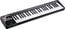 Roland A-49 Midi Keyboard Controller - Black 49-Key MIDI Keyboard Image 1