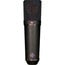 Neumann U 87 Ai BK Large Dual Diaphragm Multipattern Condenser Microphone With Accessories, Black Image 1