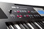 Roland BK-3-BK Arranger - Black 61-Key Arranger Keyboard Image 4